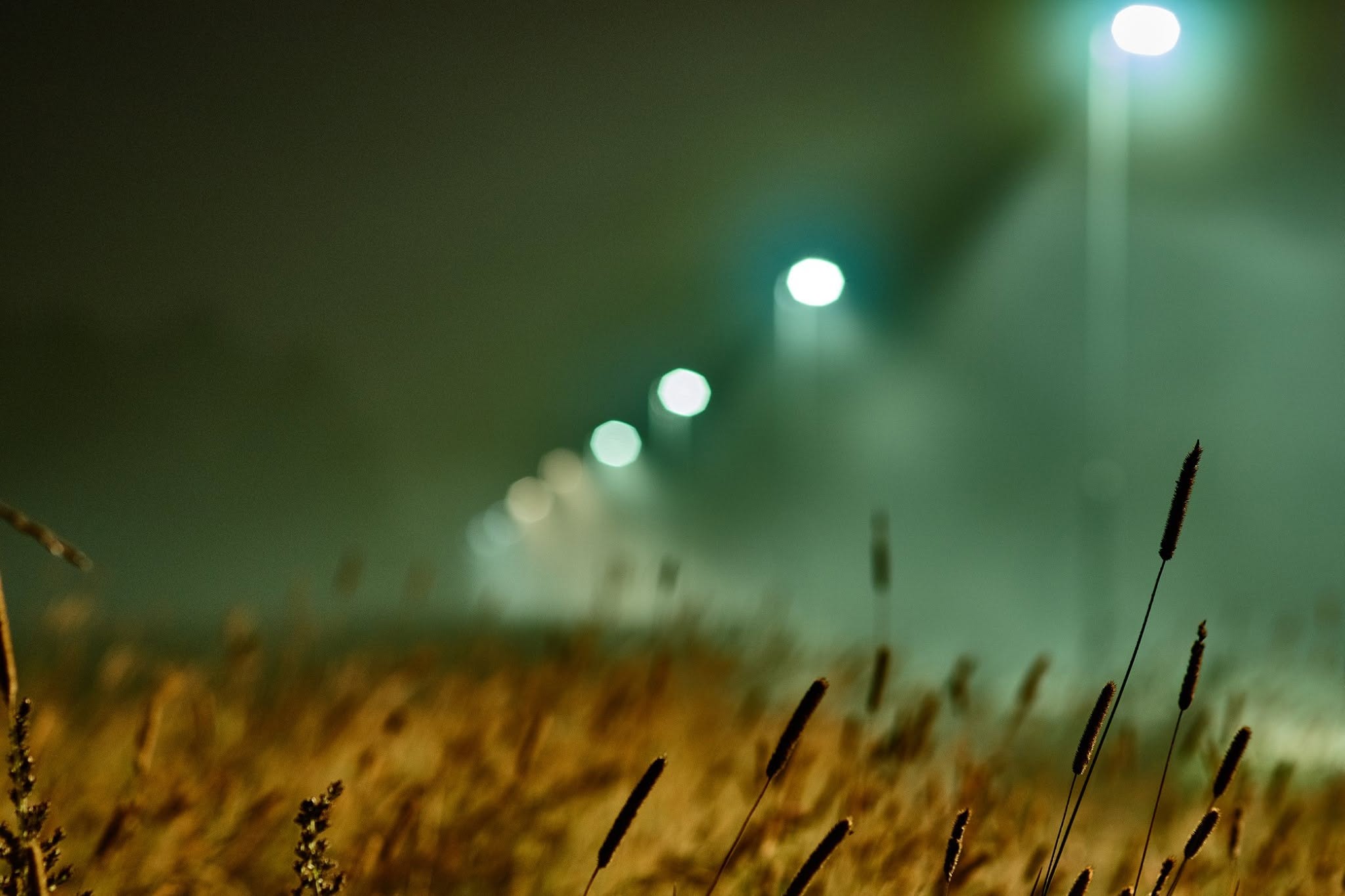 Grass field under green fog and streetlights