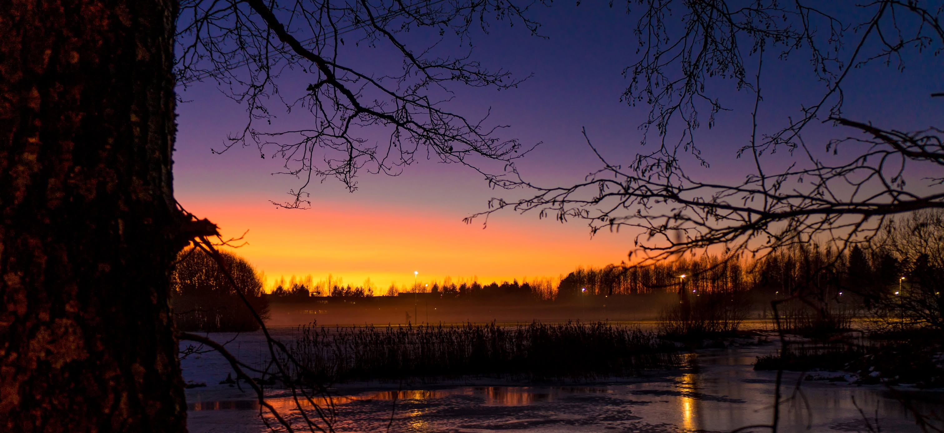 Winter twilight landscape
