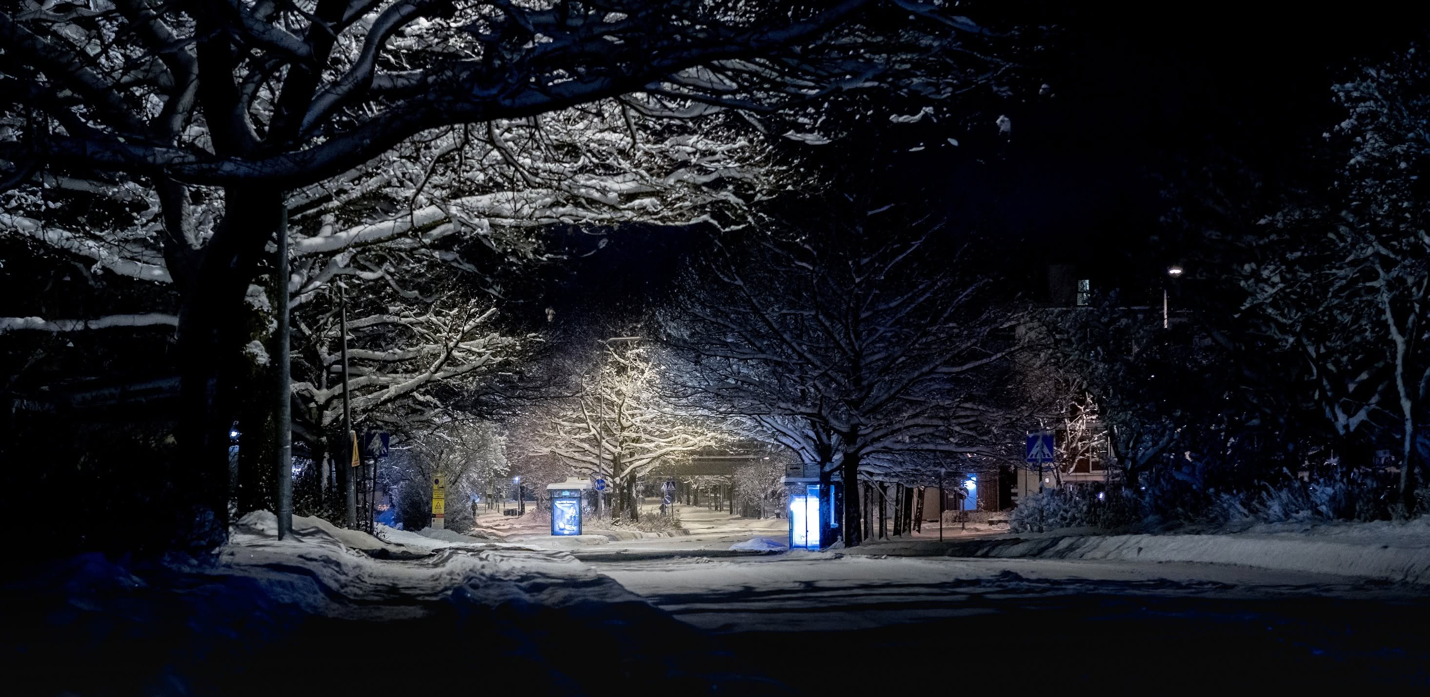 Snowy road at night with glowing bus stops